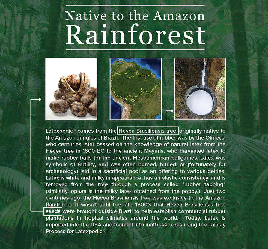 Los Angeles Natural Organic Latex Mattress